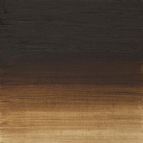 W&N Artists' Oil Colour (S1) 37ml