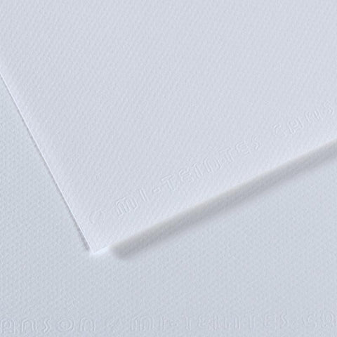 Canson Mi-Teintes Sheet 160gsm 50 x 65cm