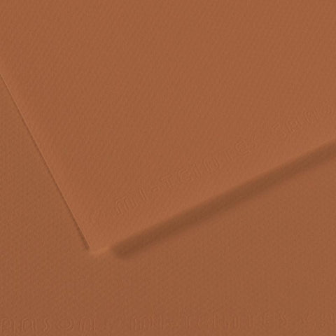 Canson Mi-Teintes Sheet 160gsm 50 x 65cm