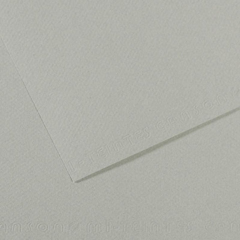 Canson Mi-Teintes Sheet 160gsm 50 x 65cm