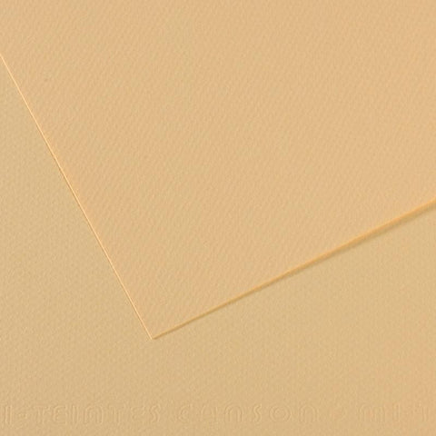 Canson Mi-Teintes Sheet 160gsm 50 x 65cm