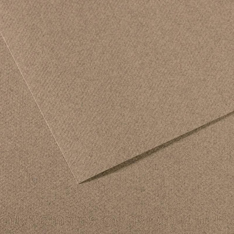 Canson Mi-Teintes Sheet 160gsm 50 x 65cm