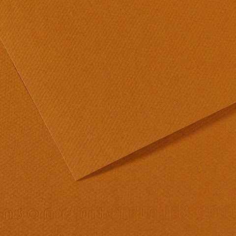 Canson Mi-Teintes Sheet 160gsm 50 x 65cm