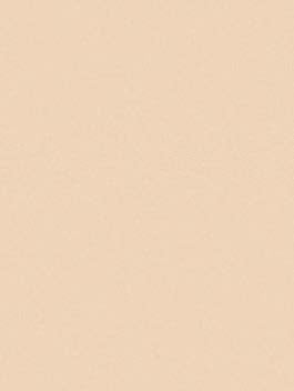 AS ColourFix Original Primer 250ml