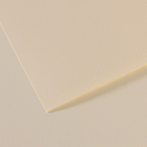Canson Mi-Teintes Sheet 160gsm 50 x 65cm