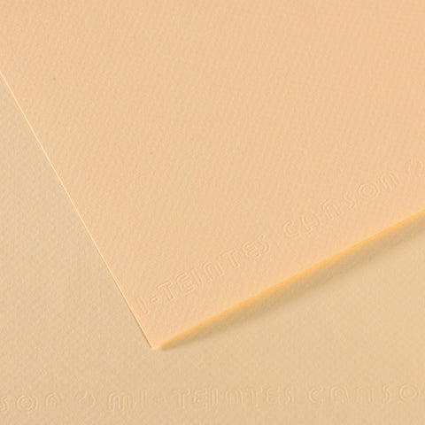 Canson Mi-Teintes Sheet 160gsm 50 x 65cm