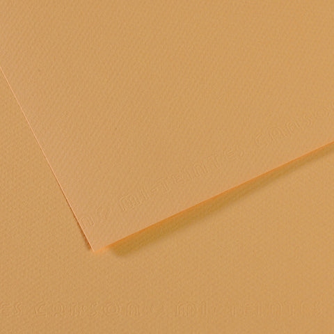 Canson Mi-Teintes Sheet 160gsm 50 x 65cm