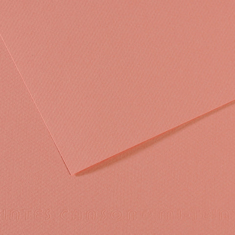 Canson Mi-Teintes Sheet 160gsm 50 x 65cm