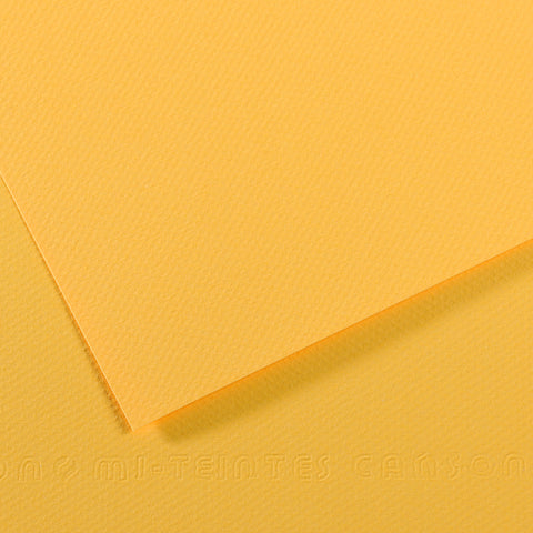 Canson Mi-Teintes Sheet 160gsm 50 x 65cm