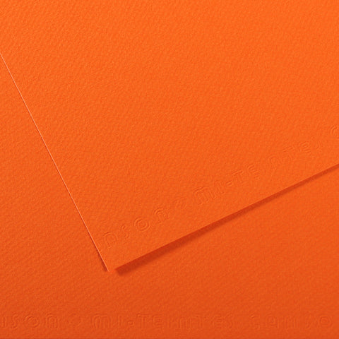 Canson Mi-Teintes Sheet 160gsm 50 x 65cm