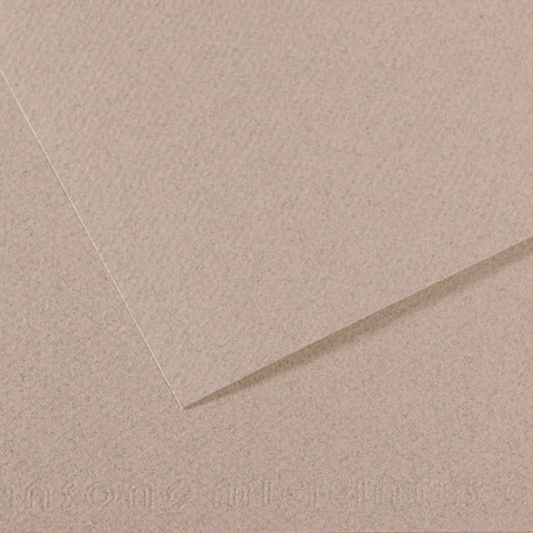 Canson Mi-Teintes Sheet 160gsm 50 x 65cm