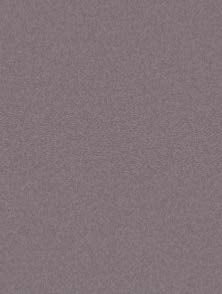 AS ColourFix Original Primer 250ml