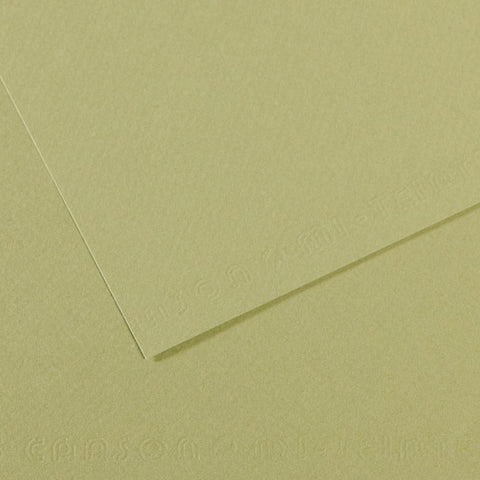 Canson Mi-Teintes Sheet 160gsm 50 x 65cm