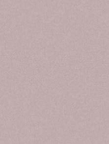 AS ColourFix Original Primer 250ml