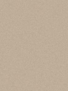 AS ColourFix Original Primer 250ml