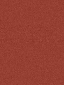 AS ColourFix Original Primer 250ml