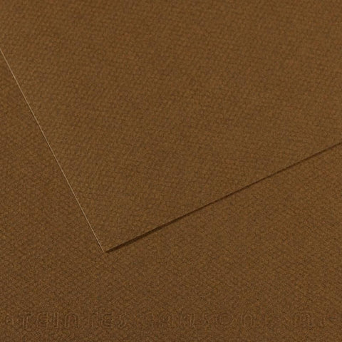 Canson Mi-Teintes Sheet 160gsm 50 x 65cm