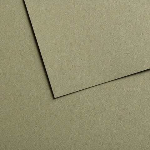 Canson Mi-Teintes Velvet 430gsm Pastel Paper Sheet 50x65cm
