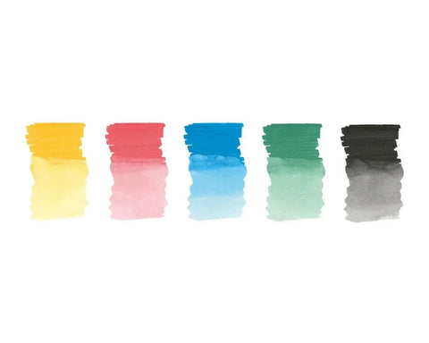 Albrecht Durer Watercolour Marker - 5pc Set